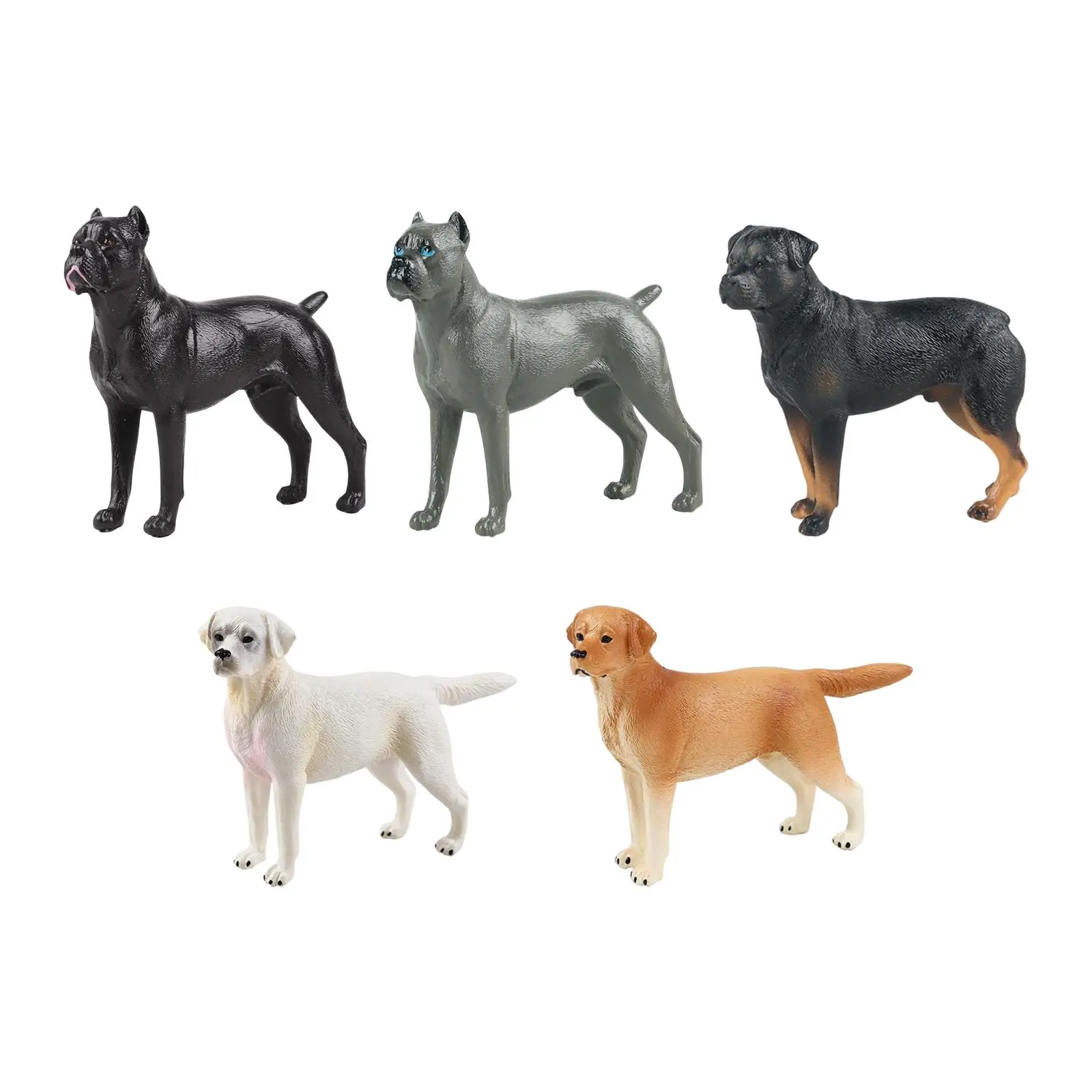 Durable ABS Dog Figures Realistic Animal Model Statues Novelty Toy for Home Decoration Display
Durable ABS Dog Figures Realistic Animal Model Statues Novelty Toy for Home Decoration Display