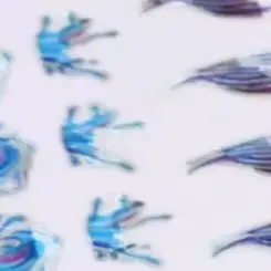 Embossed Jellyfish Jellyfish Ocean Nail Art Sticker Self Adhesive Marine Starfish Nail Decals Manicure DIY Supplies Nails Slid
Embossed Jellyfish Jellyfish Ocean Nail Art Sticker Self Adhesive Marine Starfish Nail Decals Manicure DIY Supplies Nails Slid