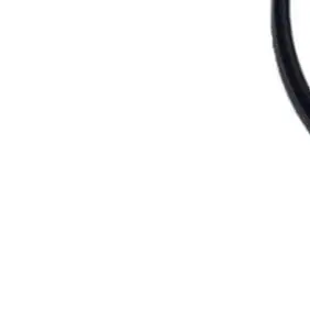 P6119 Black Rubber O-Ring Seal Replacement Gasket for 58117 58118 Pool Filter Equipment Part Accessory
P6119 Black Rubber O-Ring Seal Replacement Gasket for 58117 58118 Pool Filter Equipment Part Accessory