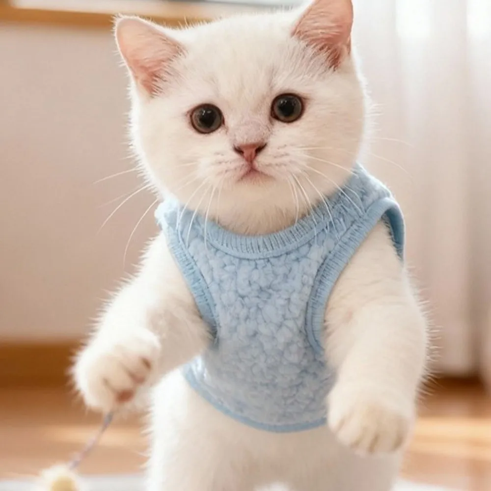 Cozy Thickened Puppy Jacket Warm Cartoon Dog Fleece Coat Bear Pattern with Traction Ring Winter Dog Costume for Cats Puppy
Cozy Thickened Puppy Jacket Warm Cartoon Dog Fleece Coat Bear Pattern with Traction Ring Winter Dog Costume for Cats Puppy