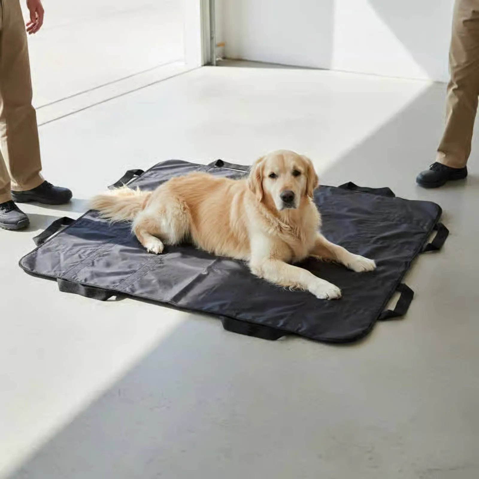 Dog Stretcher Portable Large Dog Carrying Mat Foldable Pet Stretcher Sturdy Pet Rescue Gurney Water-Resistant for Travel
Dog Stretcher Portable Large Dog Carrying Mat Foldable Pet Stretcher Sturdy Pet Rescue Gurney Water-Resistant for Travel