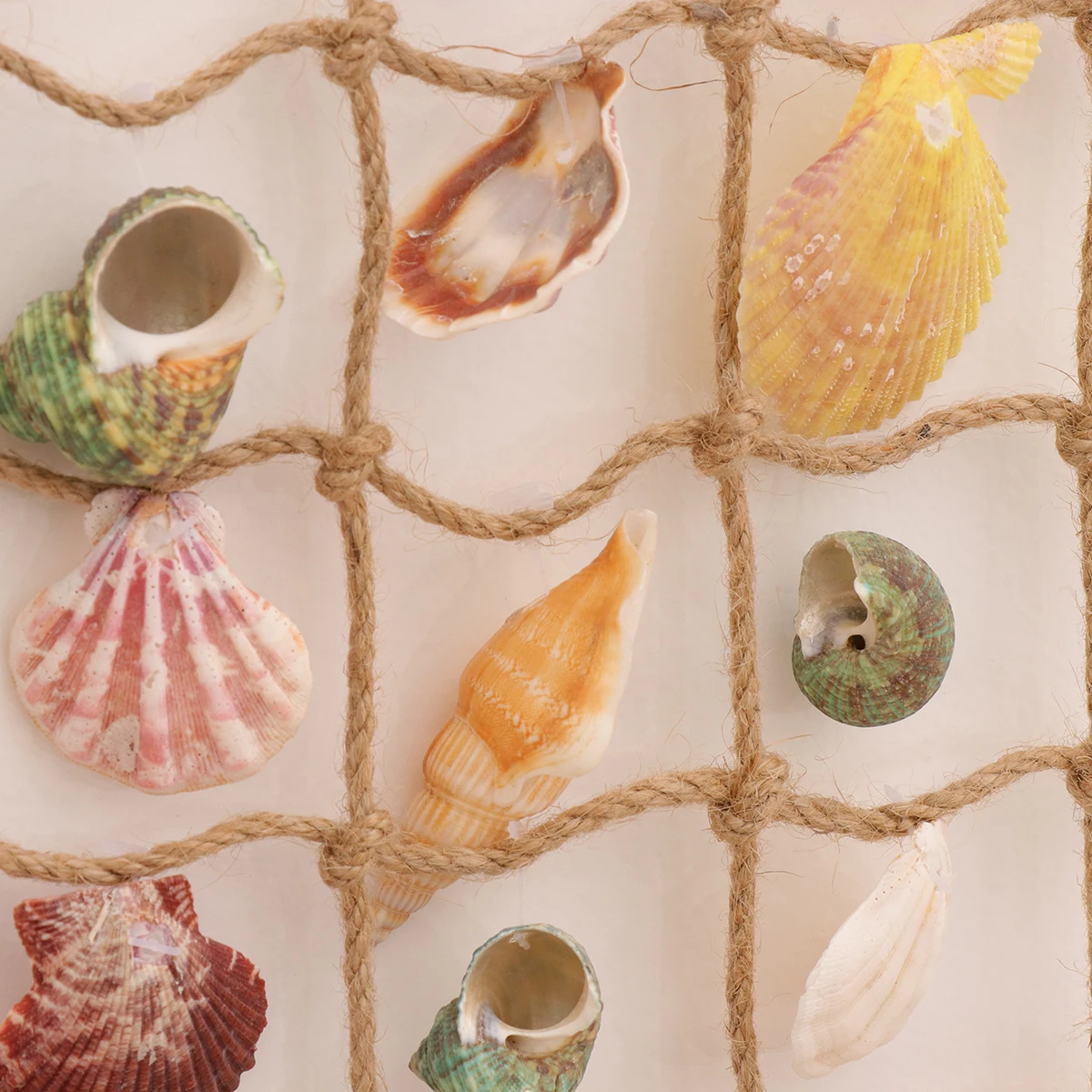 Shell Decor Kids Room Party Wall Ornaments Festival Seashell Mediterranean Decorations Wall Hanging Med Decor
Shell Decor Kids Room Party Wall Ornaments Festival Seashell Mediterranean Decorations Wall Hanging Med Decor