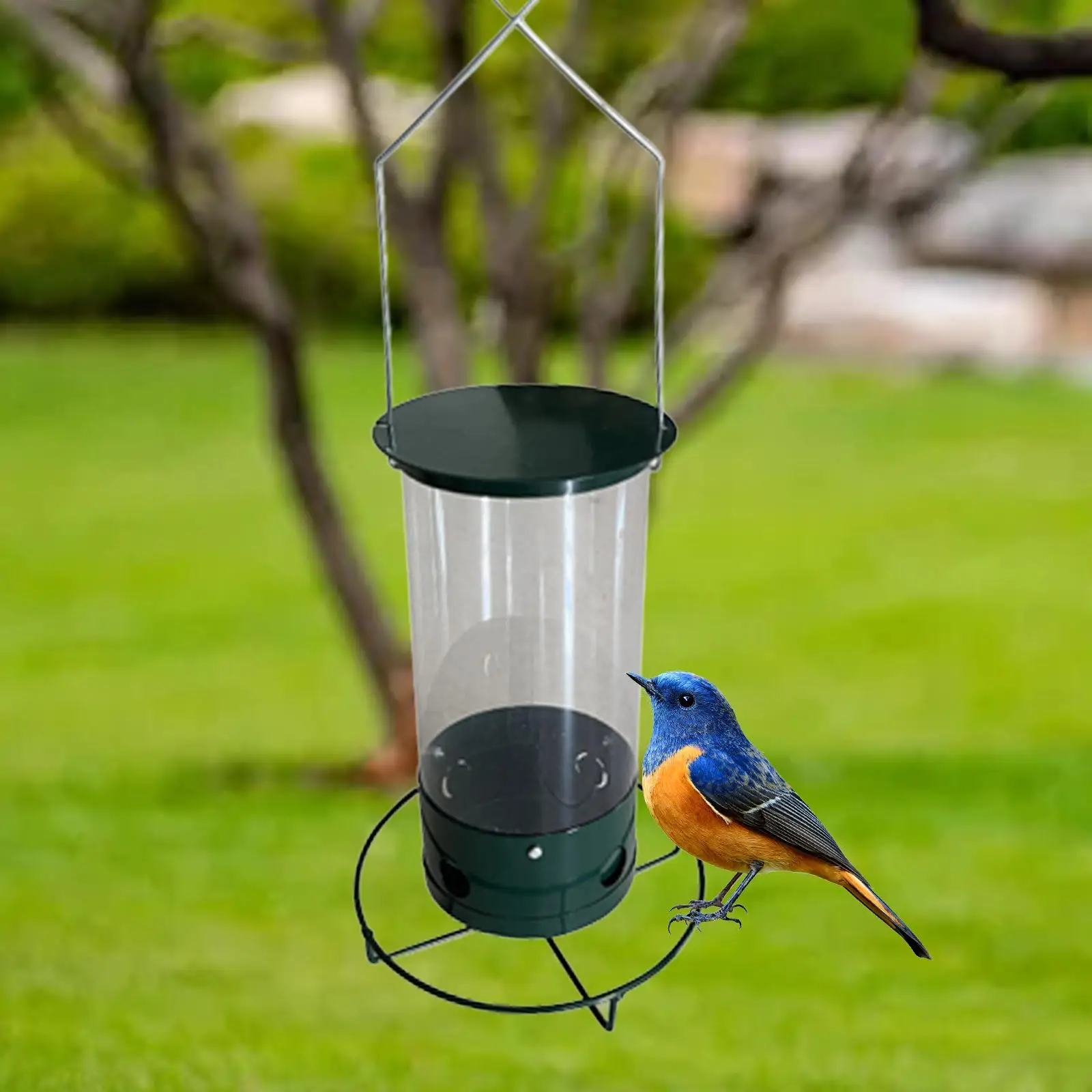 Multiple Holes Bird Feeder Birds Food Dispenser Birds Shelter Metal Rotary Bird Feeder for Front Porch Lawn Balcony Deck Macaws
Multiple Holes Bird Feeder Birds Food Dispenser Birds Shelter Metal Rotary Bird Feeder for Front Porch Lawn Balcony Deck Macaws