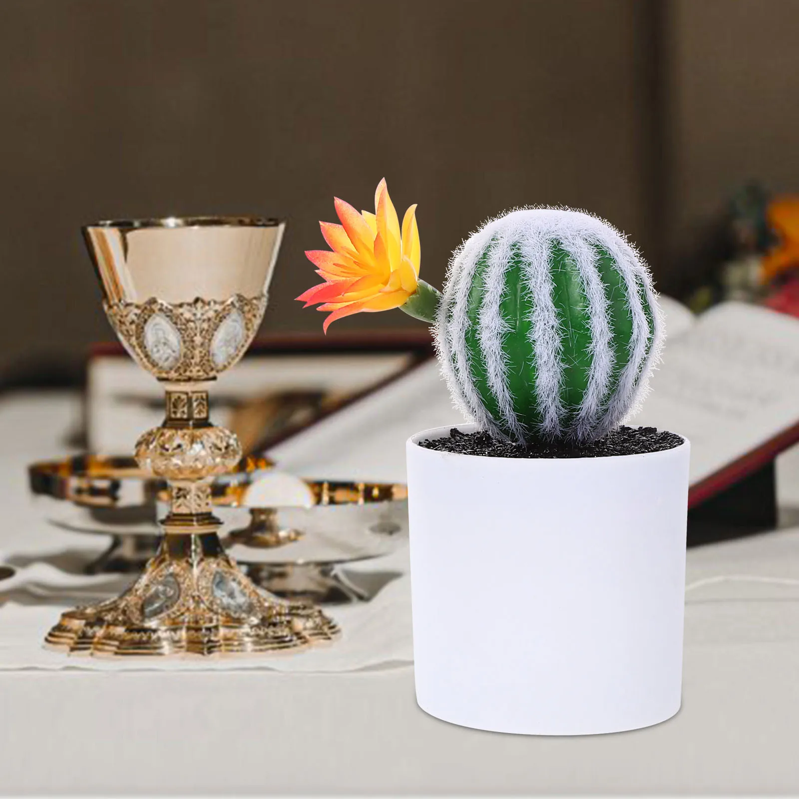 3Pcs Artificial Simulation Cactus Ornaments Decorative Fake Potted Succulents for Home Office Artificial Cactus Plants
3Pcs Artificial Simulation Cactus Ornaments Decorative Fake Potted Succulents for Home Office Artificial Cactus Plants