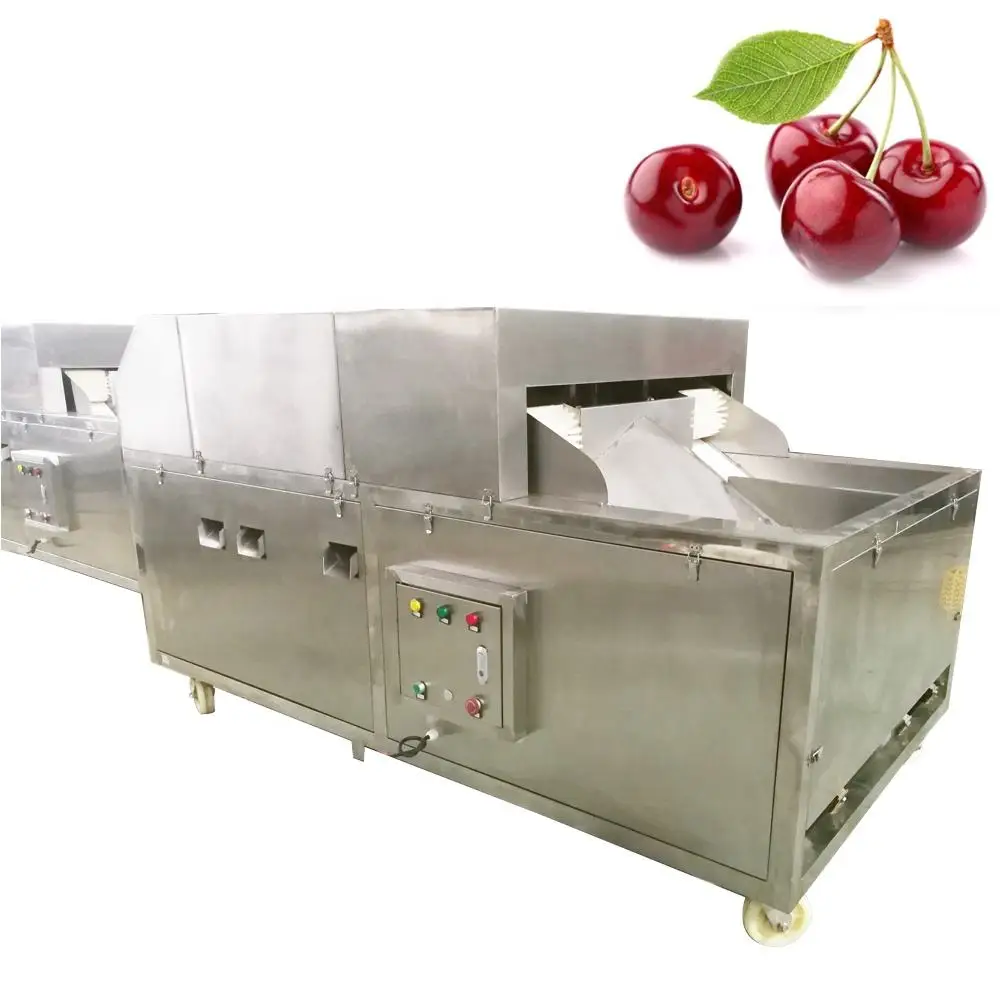 Automatic Commercial Cherry Pitting Machine Auto Industrial Seed Removal Machine Professional Electric Cherries Stone Pi Machine
Automatic Commercial Cherry Pitting Machine Auto Industrial Seed Removal Machine Professional Electric Cherries Stone Pi Machine