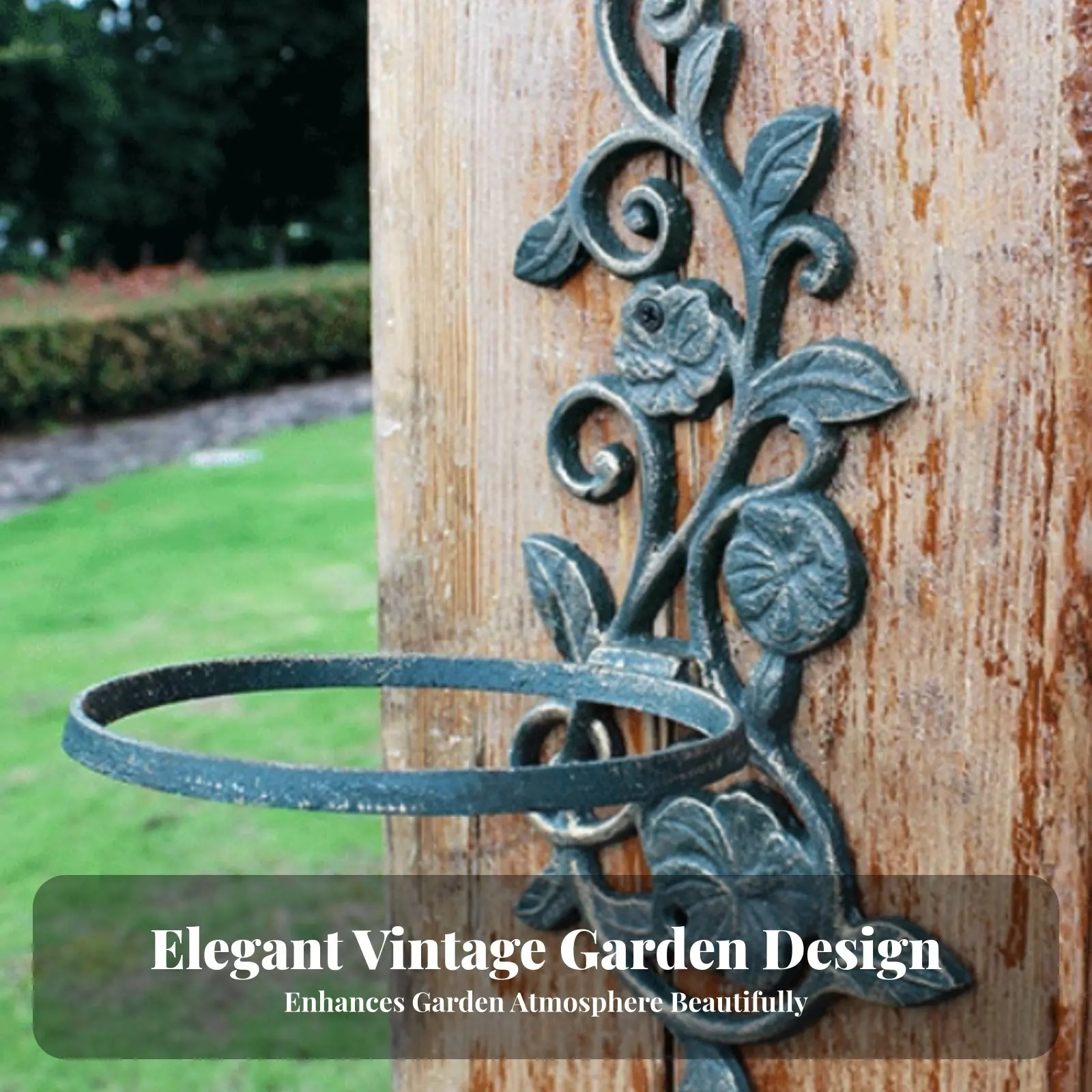 Sixavian Vertical Surface Planter Vintage & Design Plant Holder Easy to Install sturdyDuty for Gardeners, Homeowners, Balcony
Sixavian Vertical Surface Planter Vintage & Design Plant Holder Easy to Install sturdyDuty for Gardeners, Homeowners, Balcony