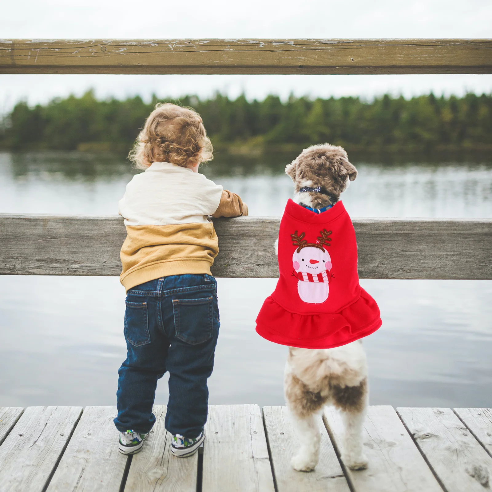 Dog Snowman Dress Red Christmas Pet Clothes For Small Dogs Outdoor Walking Party Photo Winter Skirt Pet Supplies
Dog Snowman Dress Red Christmas Pet Clothes For Small Dogs Outdoor Walking Party Photo Winter Skirt Pet Supplies