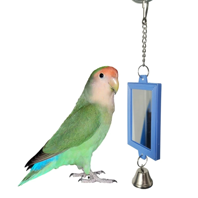Bird Mirrors with Metal Bells Cockatiel Parakeet Mirror for Cage Bird Toy Swing Cage Accessories for Parrot Conure
Bird Mirrors with Metal Bells Cockatiel Parakeet Mirror for Cage Bird Toy Swing Cage Accessories for Parrot Conure