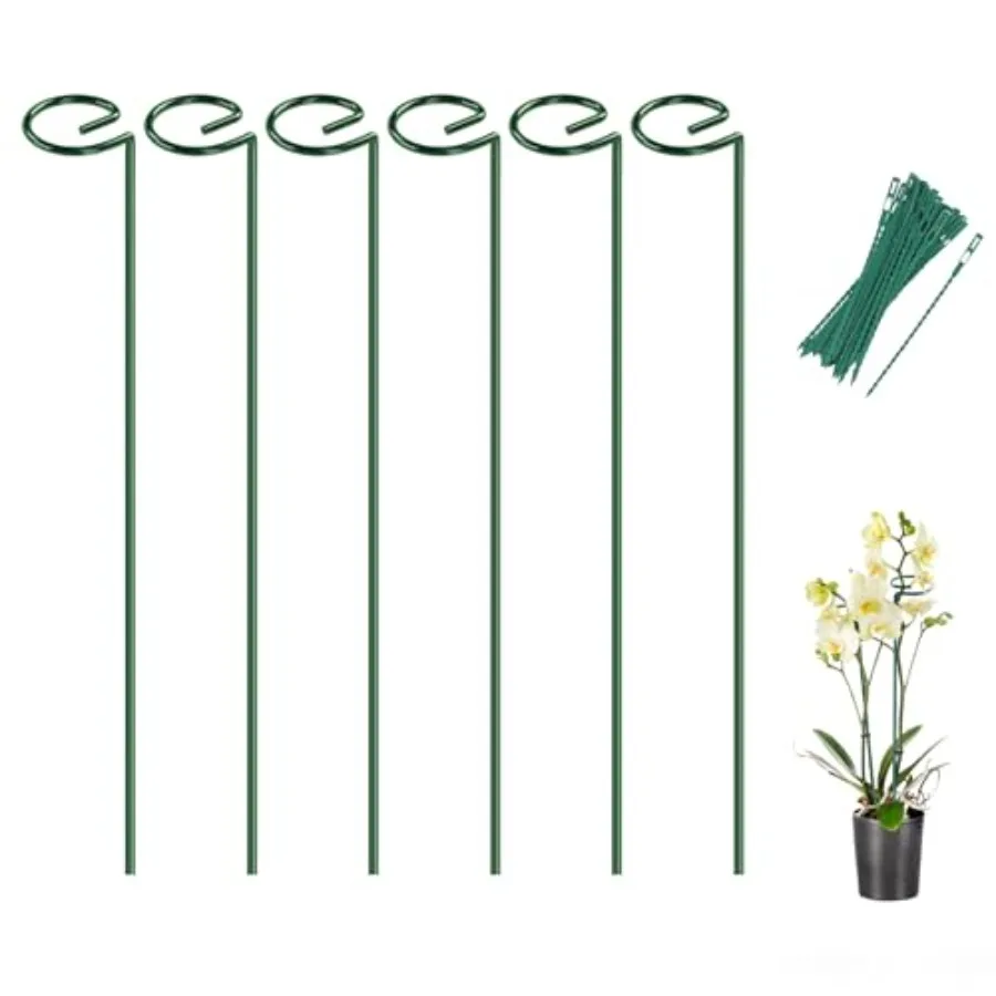 6 Pack Plant Stakes, 16 Inch Plant Support Stakes with 15 Twist Ties, Plant Sticks Support, Flower Stakes for Plants Peony, Tom
6 Pack Plant Stakes, 16 Inch Plant Support Stakes with 15 Twist Ties, Plant Sticks Support, Flower Stakes for Plants Peony, Tom