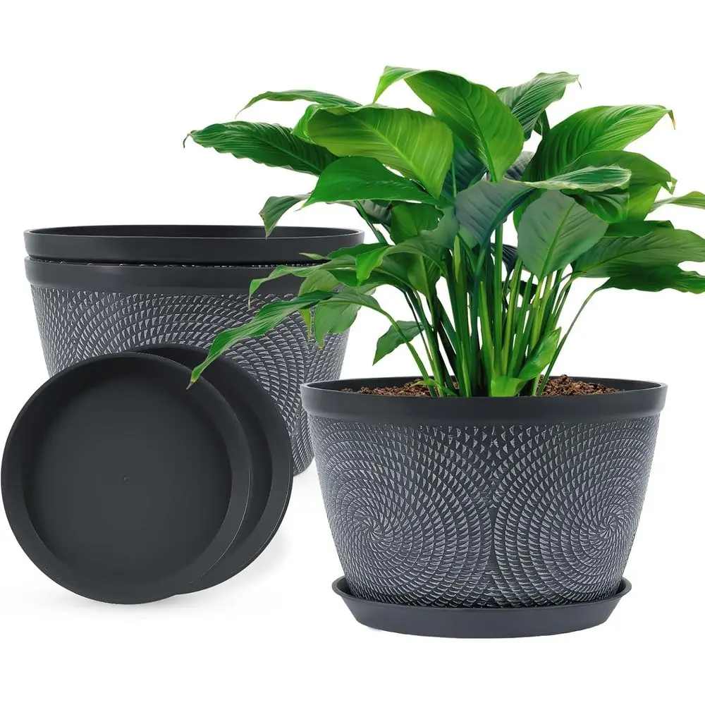 Quarut 10 Inch lower Pots Planters or Outdoor Indoor, 3 Pack Plastic Plant Pots with Drainage Hole & Tray, ern Decorative Garden
Quarut 10 Inch lower Pots Planters or Outdoor Indoor, 3 Pack Plastic Plant Pots with Drainage Hole & Tray, ern Decorative Garden