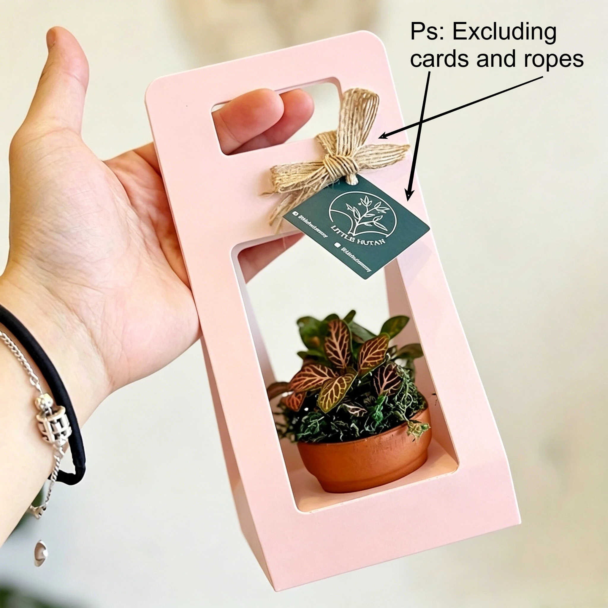 3pcs Elegant Flower Packaging Gift Box - Foldable Paper Succulent Flower Pot Box, Suitable for Wedding, Event Pottery,Flower Box
3pcs Elegant Flower Packaging Gift Box - Foldable Paper Succulent Flower Pot Box, Suitable for Wedding, Event Pottery,Flower Box