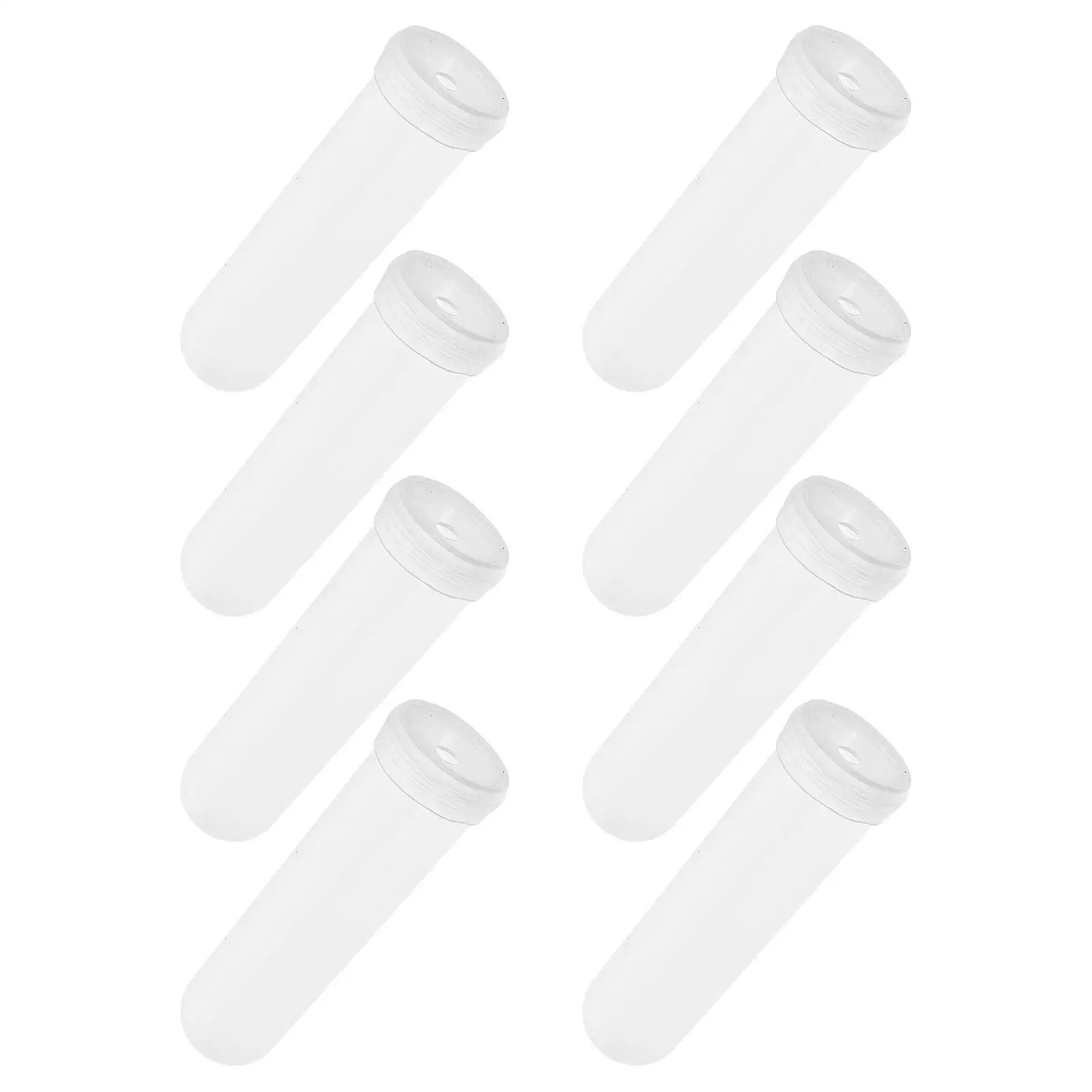 Flower Preservation Tubes Transparent Plastic Vials for Fresh Flowers Single Stem Water Holders
Flower Preservation Tubes Transparent Plastic Vials for Fresh Flowers Single Stem Water Holders