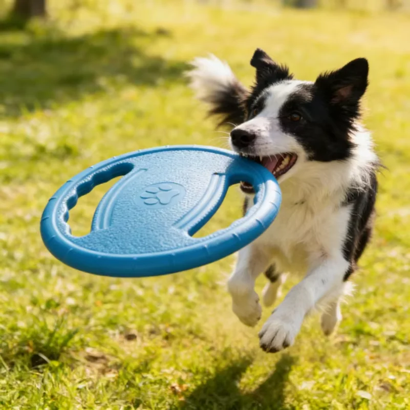 Dogs EVA Flying Disc Tooth Chew Play Train Toy Indestructible Pet Supplies Toys Large Safe Small Dog Joint Tough Toys Resistant
Dogs EVA Flying Disc Tooth Chew Play Train Toy Indestructible Pet Supplies Toys Large Safe Small Dog Joint Tough Toys Resistant