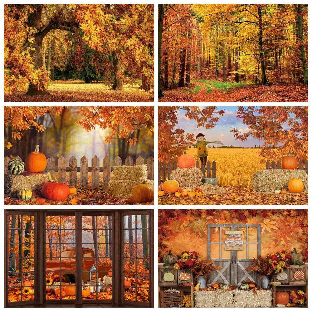 Autumn Scenery Backgrounds For Photographs Car Wheat Fields Haystack Pumpkin Maple Sunflower Baby Portrait Backdrop Photo Studio
Autumn Scenery Backgrounds For Photographs Car Wheat Fields Haystack Pumpkin Maple Sunflower Baby Portrait Backdrop Photo Studio