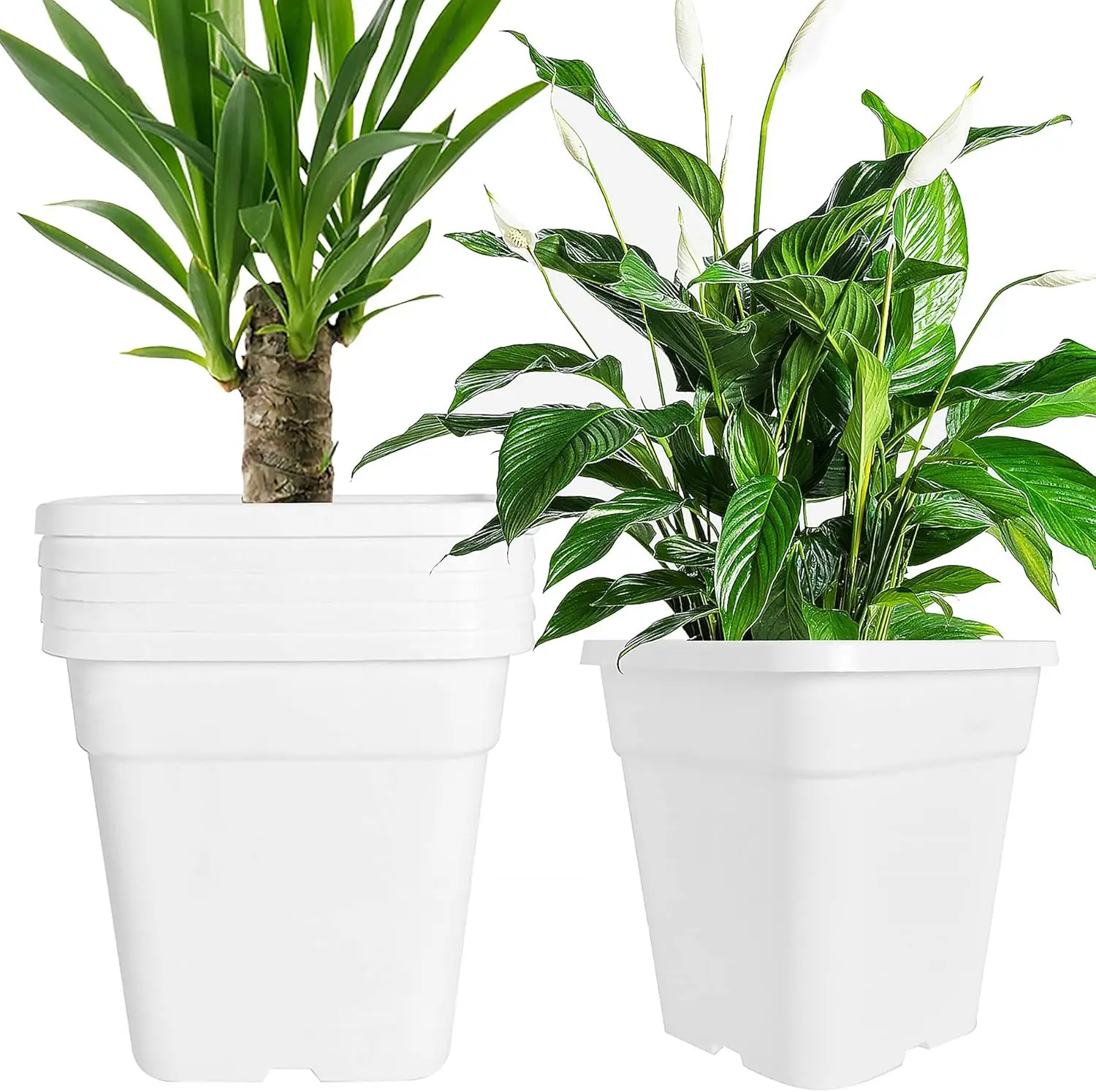 Square Planter Nursery Pots 9.77 Gallon Pots for Plants, Injection Molded Plastic Nursery Pots, Plant Container White 9.
Square Planter Nursery Pots 9.77 Gallon Pots for Plants, Injection Molded Plastic Nursery Pots, Plant Container White 9.