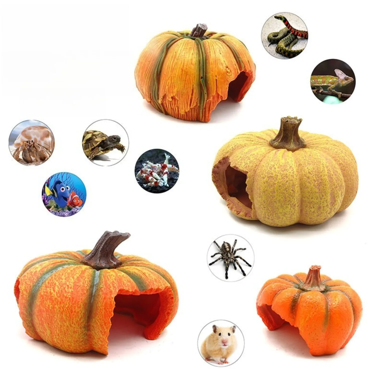 Pumpkin Reptile Hideout Cave, Resin Terrarium Shelter for Gecko, Snake, Lizard, Bearded Dragon
Pumpkin Reptile Hideout Cave, Resin Terrarium Shelter for Gecko, Snake, Lizard, Bearded Dragon