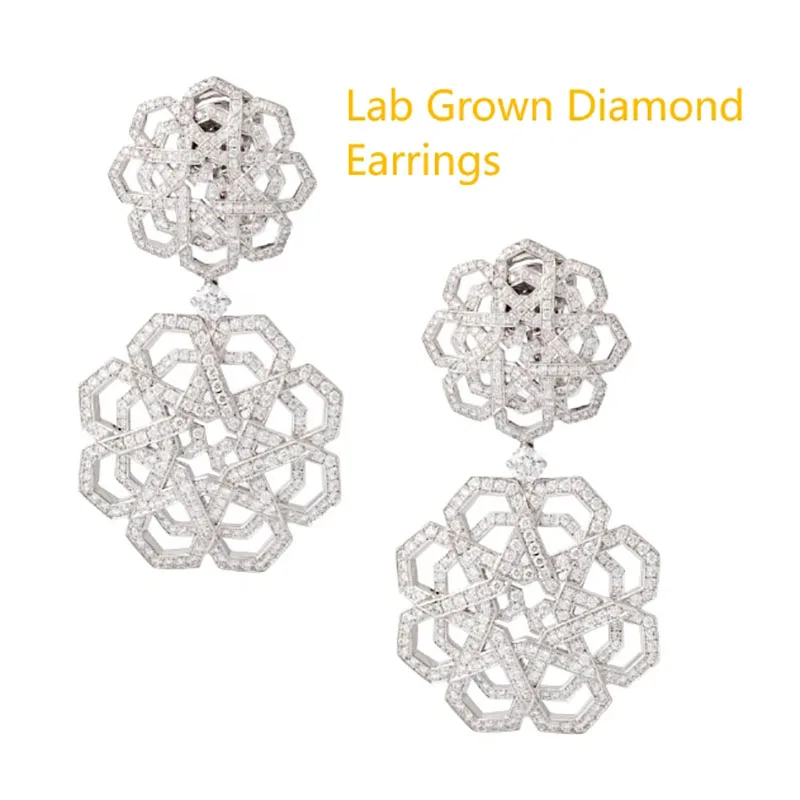 Lab Grown Diamond 2.8CTW Round Diamonds DEF VS-VVS Beautiful Flower Drop-Dangle Earrings For Lady Party Jewelry 18k White Gold
Lab Grown Diamond 2.8CTW Round Diamonds DEF VS-VVS Beautiful Flower Drop-Dangle Earrings For Lady Party Jewelry 18k White Gold