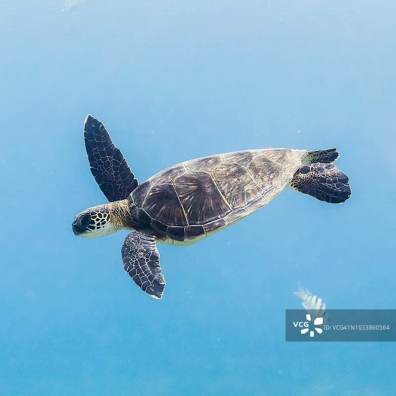 Цифровой микросервопривод EMAX ES08D II, пластиковая шестерня для радиоуправляемых вертолетов, самолетов и квадрокоптеров
Цифровой микросервопривод EMAX ES08D II, пластиковая шестерня для радиоуправляемых вертолетов, самолетов и квадрокоптеров