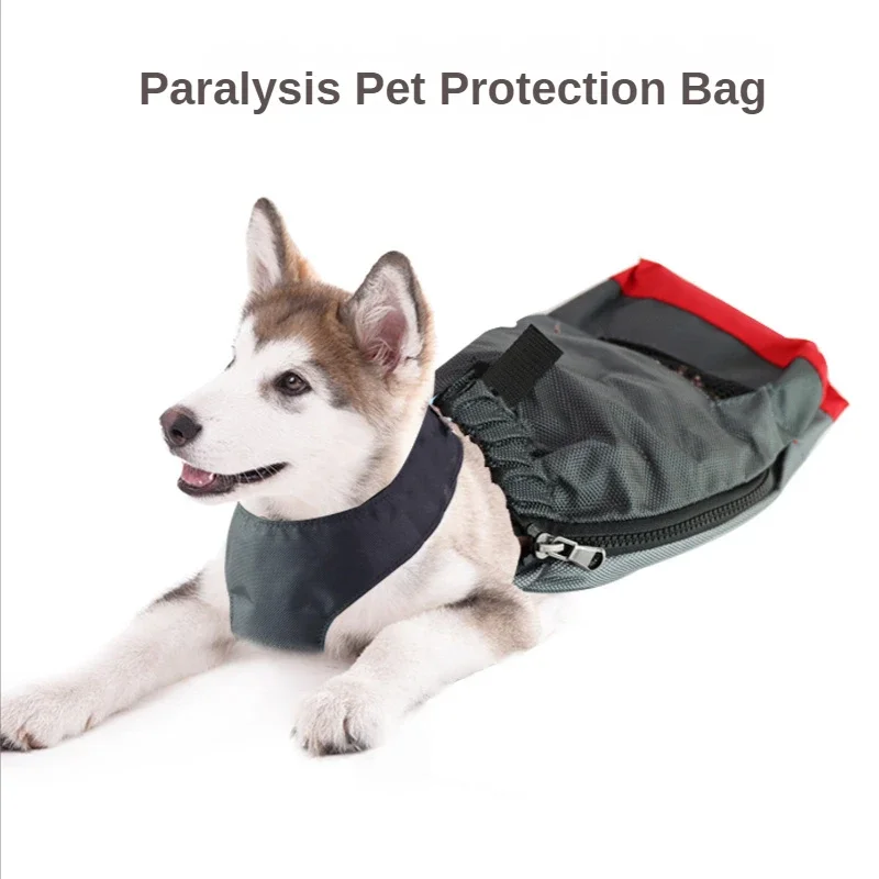 Pet Supplies New Disabled Dog Tow Bag Anti-Abrasion Paralyzed Pet Protection Bag Indoor Bag Pet Accessories
Pet Supplies New Disabled Dog Tow Bag Anti-Abrasion Paralyzed Pet Protection Bag Indoor Bag Pet Accessories