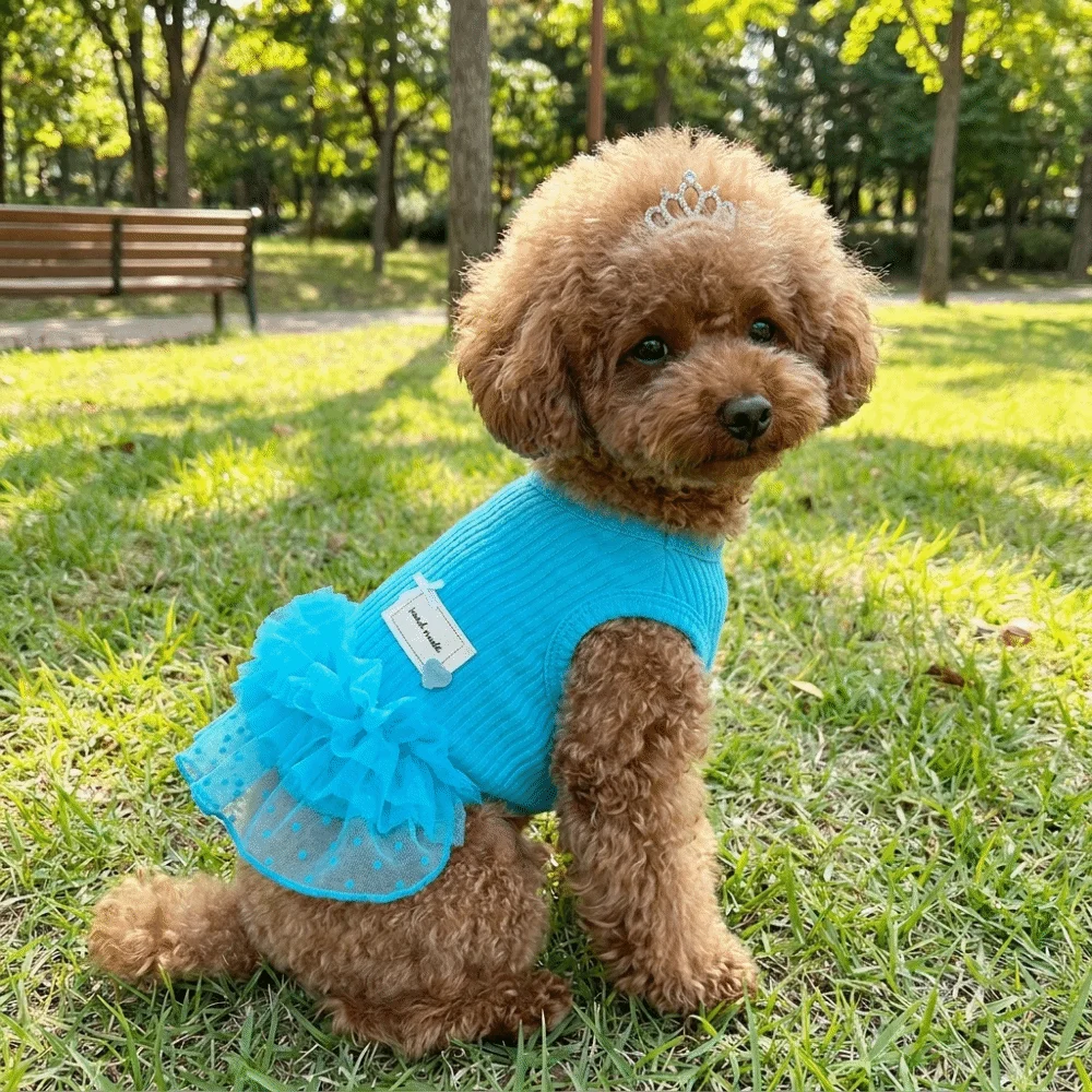 Pet Clothing Breathable Thin Dog Mesh Fluffy Skirt Soft Comfortable Puppy Fairy Skirt Round Neck Puppy Princess Dress Daily Wear
Pet Clothing Breathable Thin Dog Mesh Fluffy Skirt Soft Comfortable Puppy Fairy Skirt Round Neck Puppy Princess Dress Daily Wear