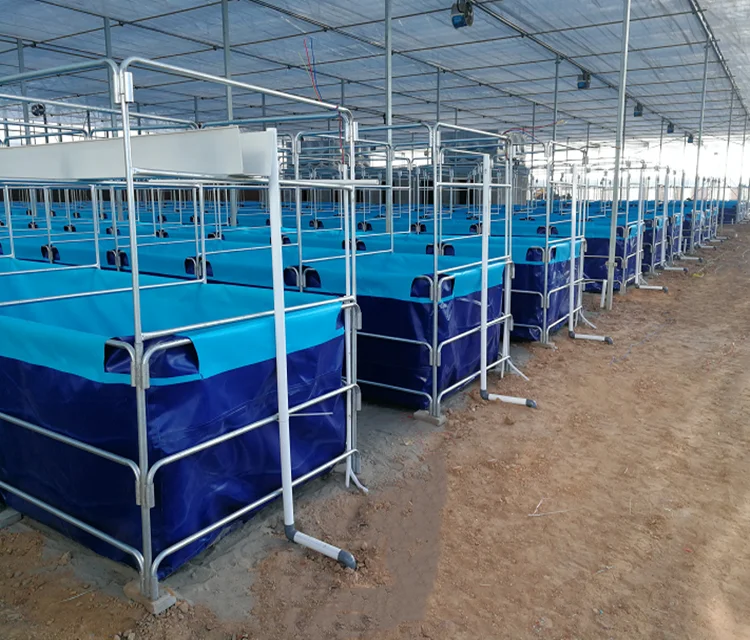SDM Collapsible Round Or Rectangular Fish Farming Ponds ,Fish Breeding Tank For Fish
SDM Collapsible Round Or Rectangular Fish Farming Ponds ,Fish Breeding Tank For Fish
