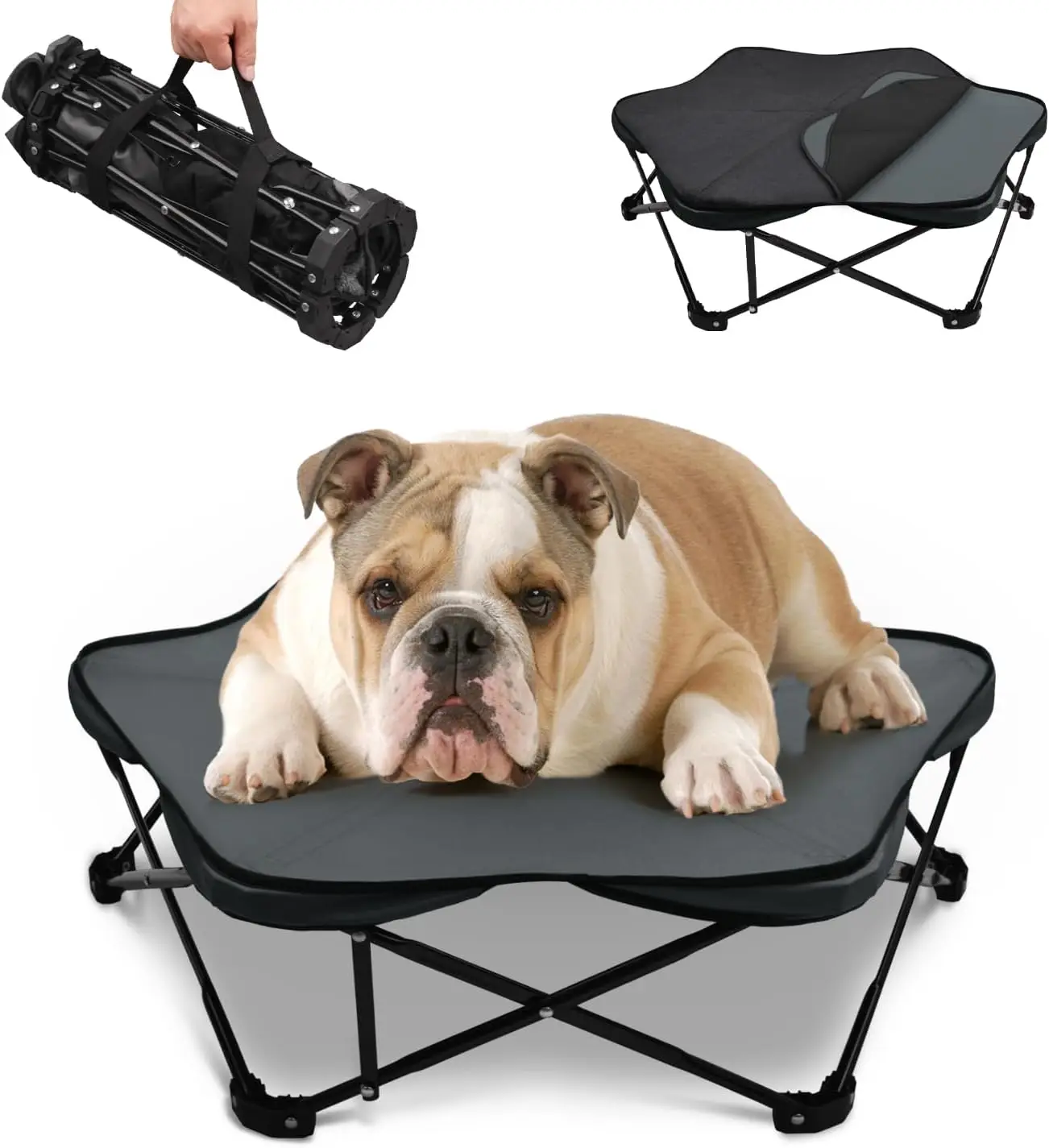 Small Elevated Dog Bed – 26"" Foldable Pet Cot With Carry Handle, Raised Dog Bed With Sturdy Frame & Plush Cushion, Portable &
Small Elevated Dog Bed – 26"" Foldable Pet Cot With Carry Handle, Raised Dog Bed With Sturdy Frame & Plush Cushion, Portable &