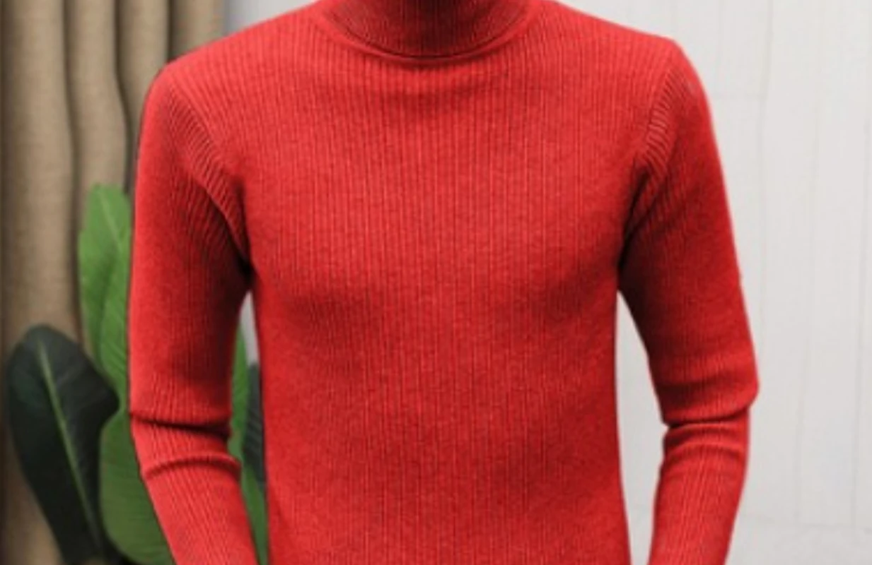 Men Turtleneck Sweaters and Pullovers 2025 New Fashion Knitted Sweater Winter Men Pullover Homme Wool Casual Solid Clothes
Men Turtleneck Sweaters and Pullovers 2025 New Fashion Knitted Sweater Winter Men Pullover Homme Wool Casual Solid Clothes