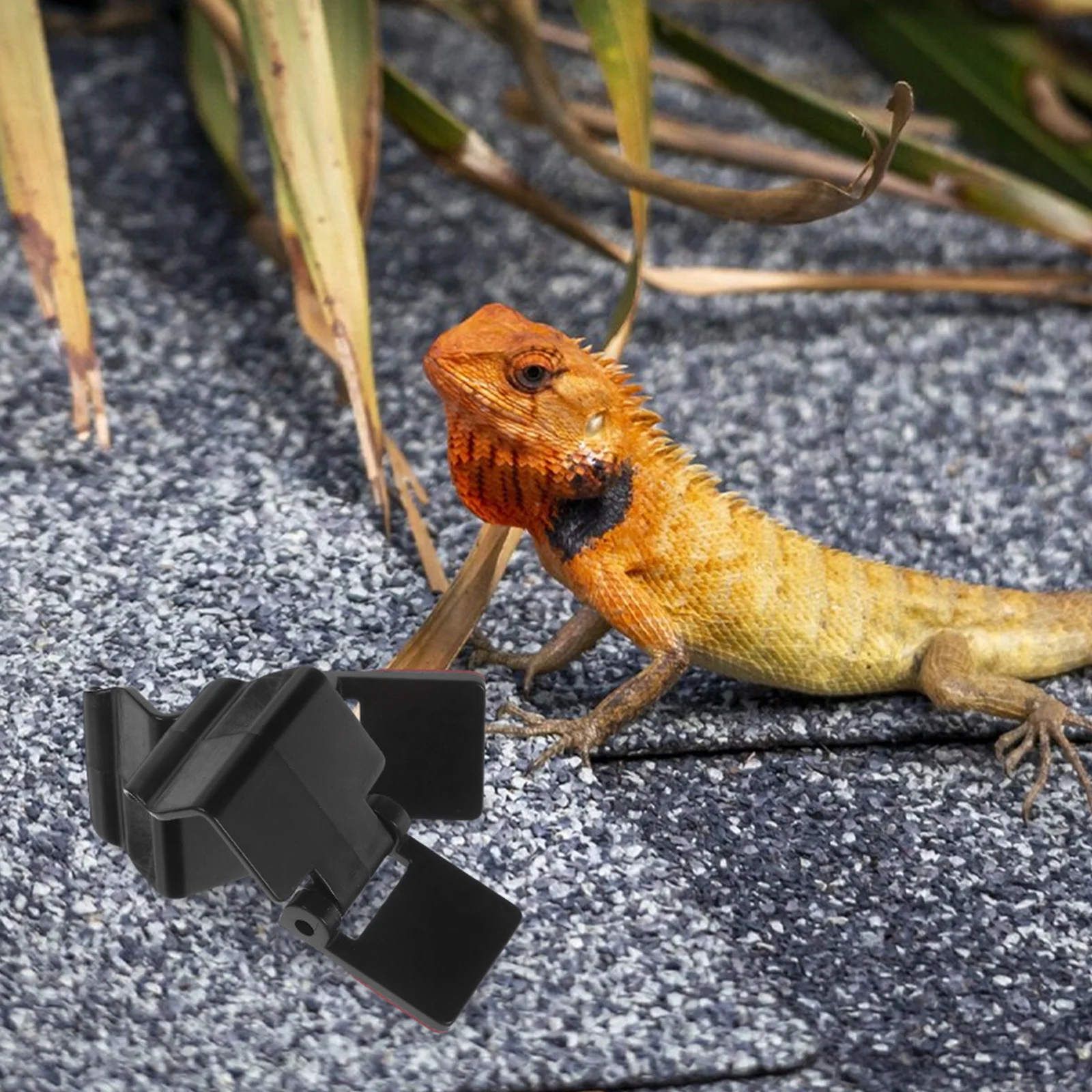 6 Pcs Aquarium Tank Lid Clips Lock Terrarium Anti-escape Turtle Reptile Fish Locking ABS Enclosure
6 Pcs Aquarium Tank Lid Clips Lock Terrarium Anti-escape Turtle Reptile Fish Locking ABS Enclosure