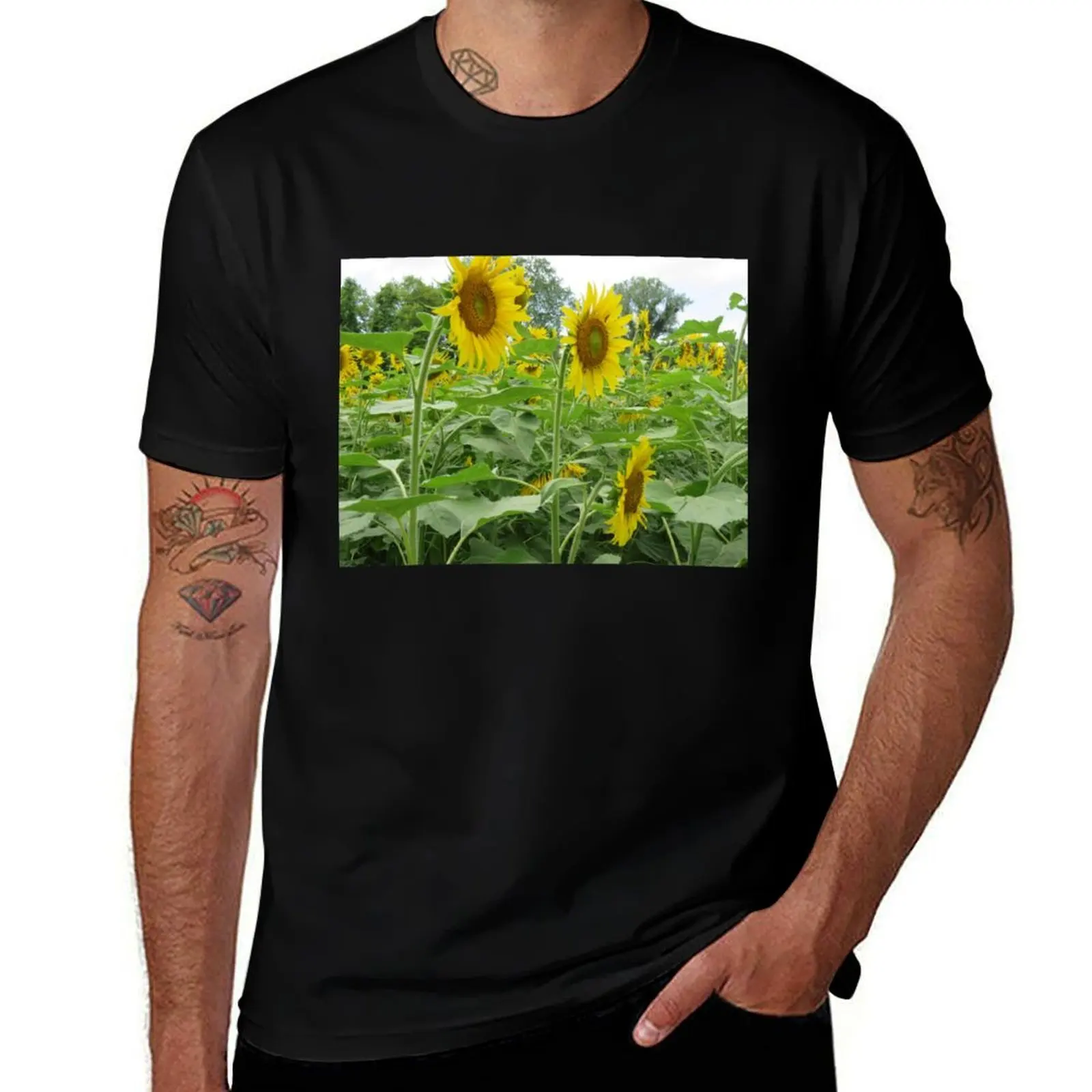 Футболка Golden Sunflowers in Full Bloom, топы больших размеров, одежда в стиле аниме для мальчиков, белые фигурки аниме, мужская мода
Футболка Golden Sunflowers in Full Bloom, топы больших размеров, одежда в стиле аниме для мальчиков, белые фигурки аниме, мужская мода