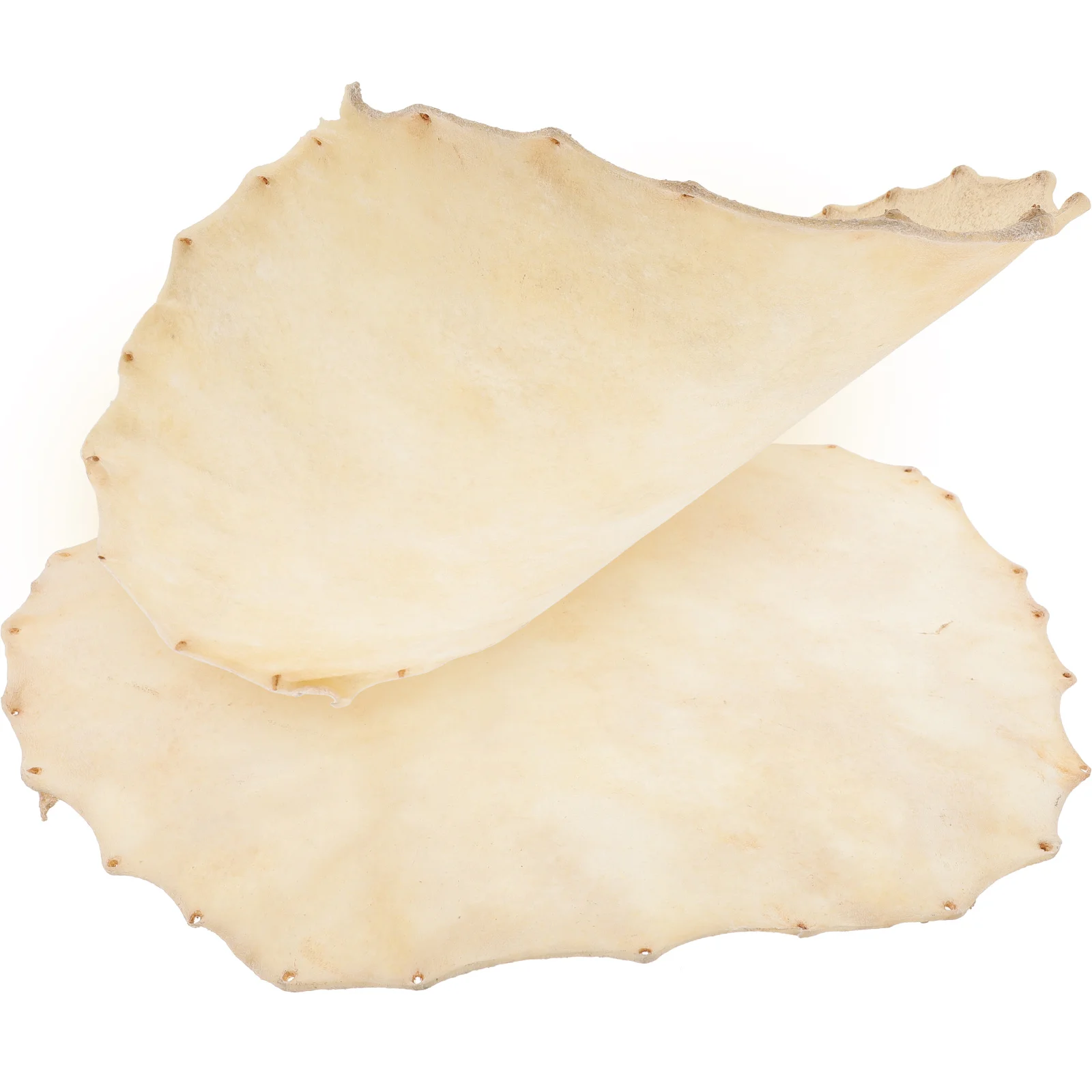 2 Pcs Musical Instrument Parts Bongos Drum Cover Tambourine Skin Component Sheepskin
2 Pcs Musical Instrument Parts Bongos Drum Cover Tambourine Skin Component Sheepskin