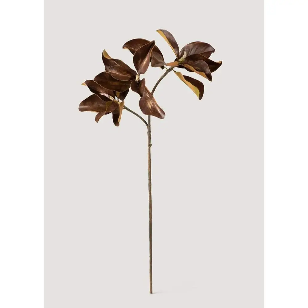 38,5 теплых состаренных ветвей магнолии
38,5 теплых состаренных ветвей магнолии