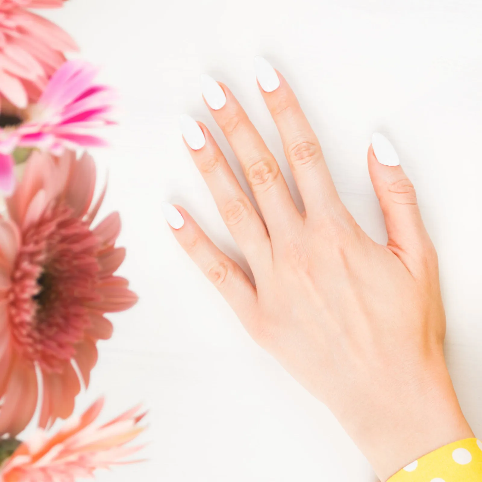 500Pcs Clear False Nails Almond Nail Tips Full Cover Self Adhesive False Nail Tips for Special Occasions Fake Nails
500Pcs Clear False Nails Almond Nail Tips Full Cover Self Adhesive False Nail Tips for Special Occasions Fake Nails