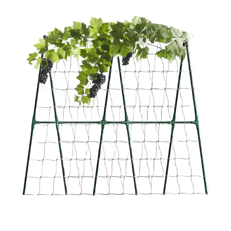 Metal cucumber trellis Multi-Purpose Plant Support Stakes Durable Vegetable & Vine Trellis For Tomatoes Cucumbers Grapes
Metal cucumber trellis Multi-Purpose Plant Support Stakes Durable Vegetable & Vine Trellis For Tomatoes Cucumbers Grapes