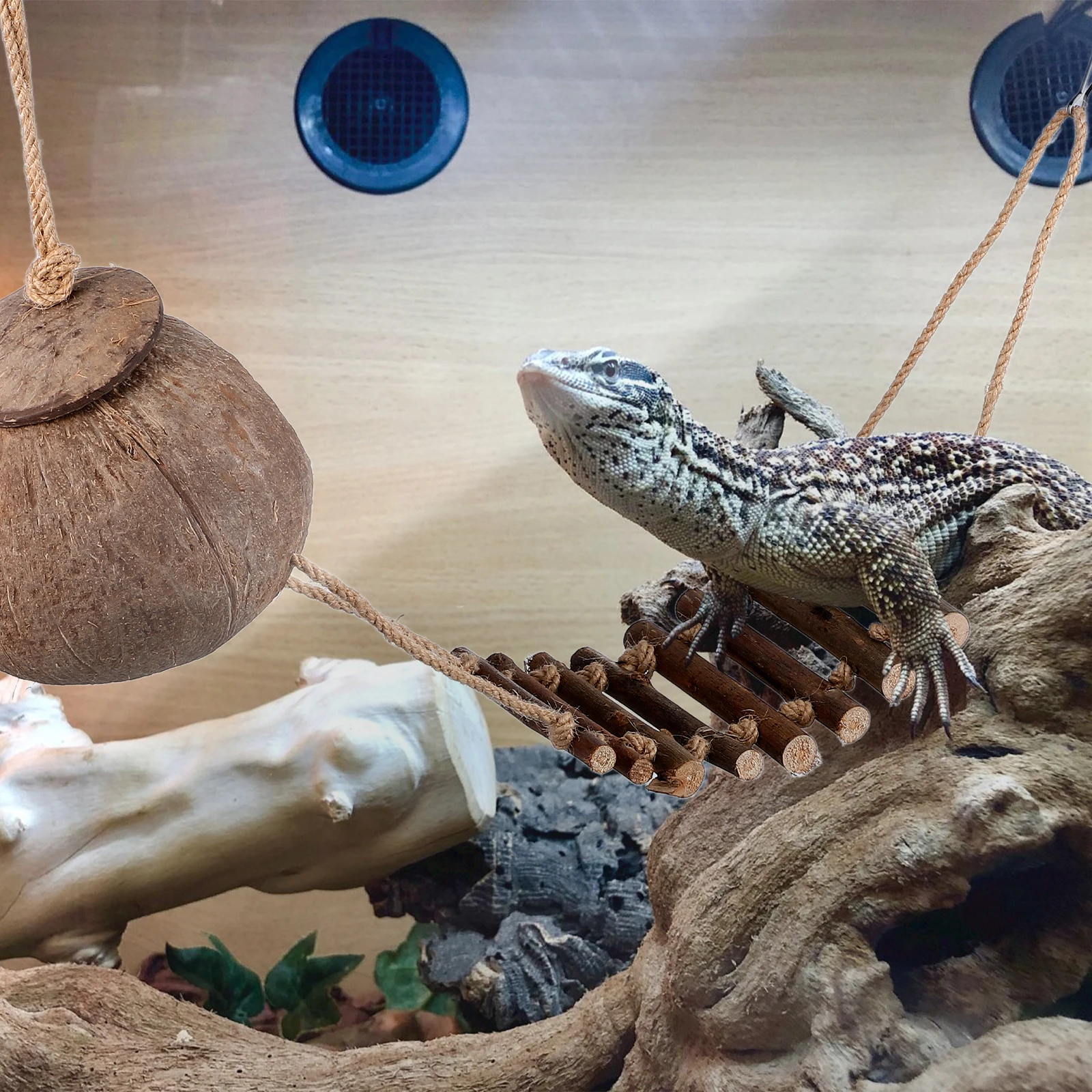 Natural Reptile Hiding Cave Coconut Shell Shelter For Lizard Gecko Tortoise Small Lightweight Easy Carry Decorative Terrarium
Natural Reptile Hiding Cave Coconut Shell Shelter For Lizard Gecko Tortoise Small Lightweight Easy Carry Decorative Terrarium