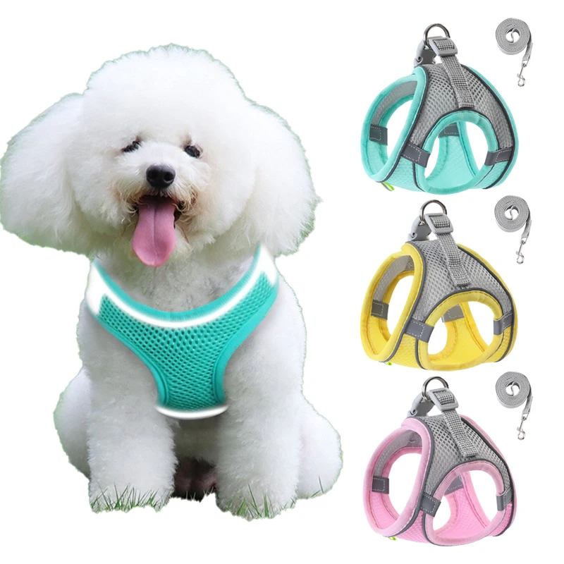 Puppy Harness Set Adjustable Cat Harness Vest French Bulldog Chihuahua Outdoor Pug Walking Collar Pet Leash Cats Dog Accessories
Puppy Harness Set Adjustable Cat Harness Vest French Bulldog Chihuahua Outdoor Pug Walking Collar Pet Leash Cats Dog Accessories
