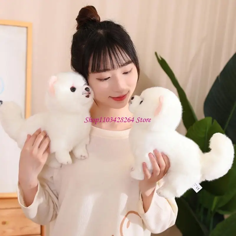 Realistic Dog Toy Simulation Pomeranian Toy Doll Stuffed Animal for Home Display
Realistic Dog Toy Simulation Pomeranian Toy Doll Stuffed Animal for Home Display