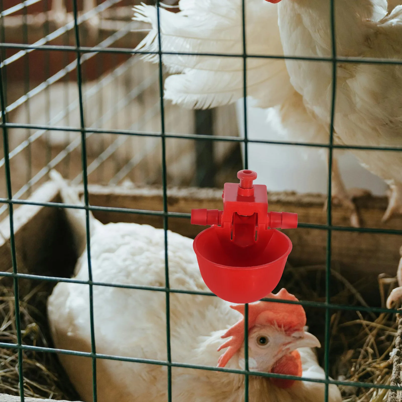 20PCS Chicken Waterer Durable Cups Automatic Drinkers for Pigeons Quail Birds Pet Farm Clean Water Saving Design
20PCS Chicken Waterer Durable Cups Automatic Drinkers for Pigeons Quail Birds Pet Farm Clean Water Saving Design