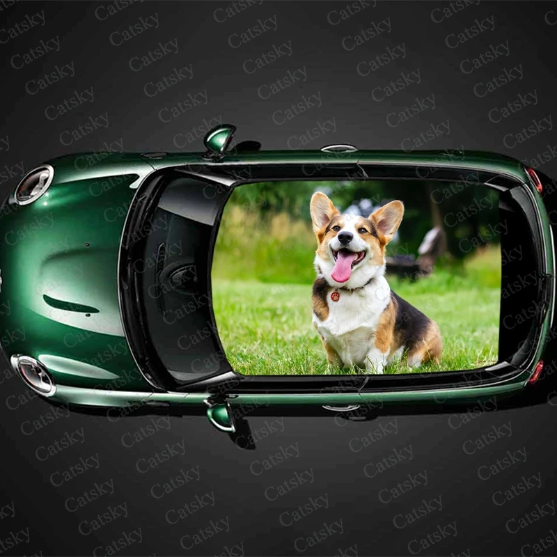 Welsh Corgi animal Car roof sticker wrap racing SUV accessories packaging painting PVC car accessories graphic decals
Welsh Corgi animal Car roof sticker wrap racing SUV accessories packaging painting PVC car accessories graphic decals