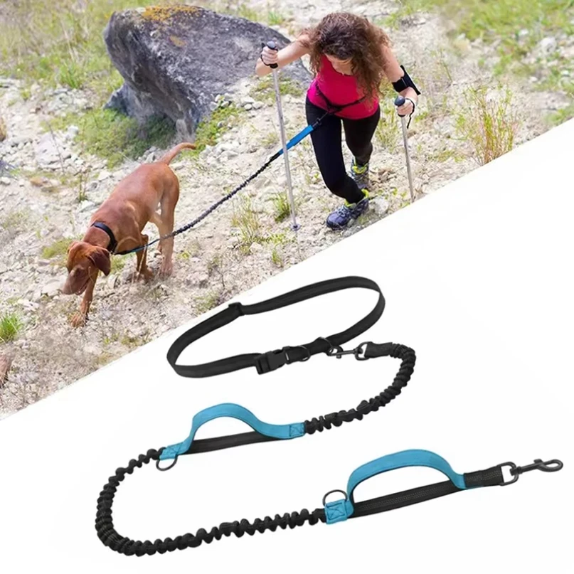 Outdoor Pet Dual Elastic Traction Rope Reflective Running at Night Stretchable Hands-free Dog Dual Handle Elastic Rope
Outdoor Pet Dual Elastic Traction Rope Reflective Running at Night Stretchable Hands-free Dog Dual Handle Elastic Rope