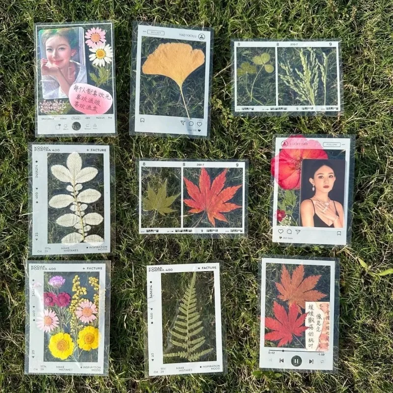 200/400pcs DIY Clear Plastic Bookmarks Transparent Frame Pressed Flower Leaf Handmade Book Accessory for Journals Novels Gifts
200/400pcs DIY Clear Plastic Bookmarks Transparent Frame Pressed Flower Leaf Handmade Book Accessory for Journals Novels Gifts