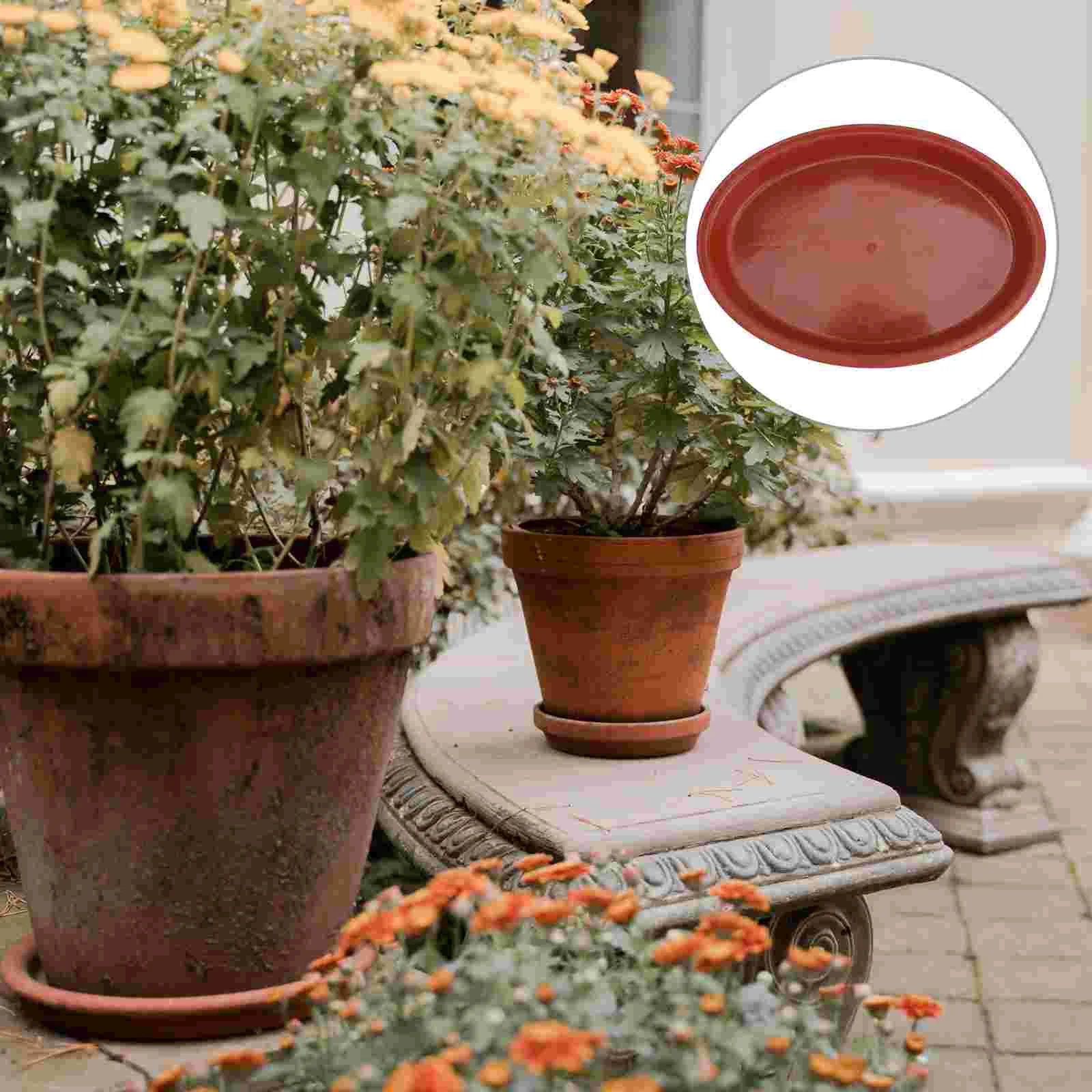 10 Pcs Oval Tray Bonsai Trays Accessories Rectangle Gardening Supplies Plastic Shaped Pot
10 Pcs Oval Tray Bonsai Trays Accessories Rectangle Gardening Supplies Plastic Shaped Pot