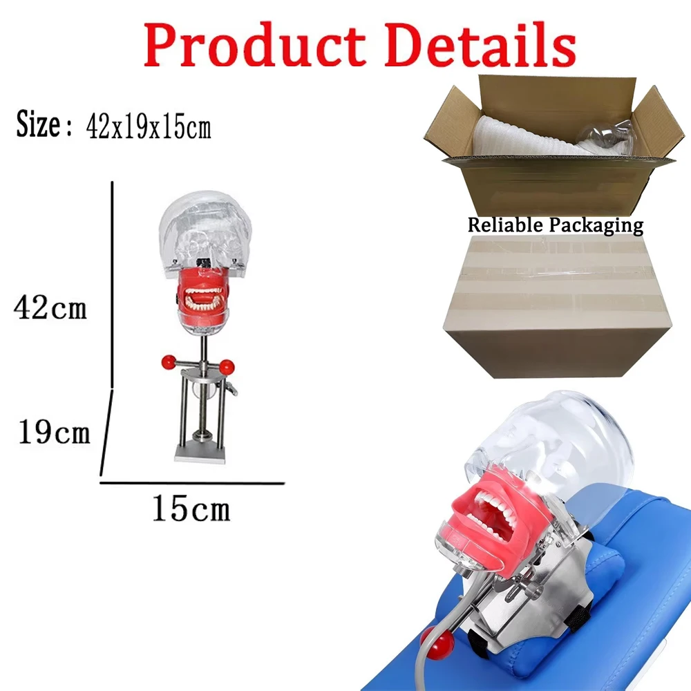 Ready Stock Dental Phantom Head Model for Bench Mount Use Ideal for Teeth Model Exercise and Simulator Training
Ready Stock Dental Phantom Head Model for Bench Mount Use Ideal for Teeth Model Exercise and Simulator Training