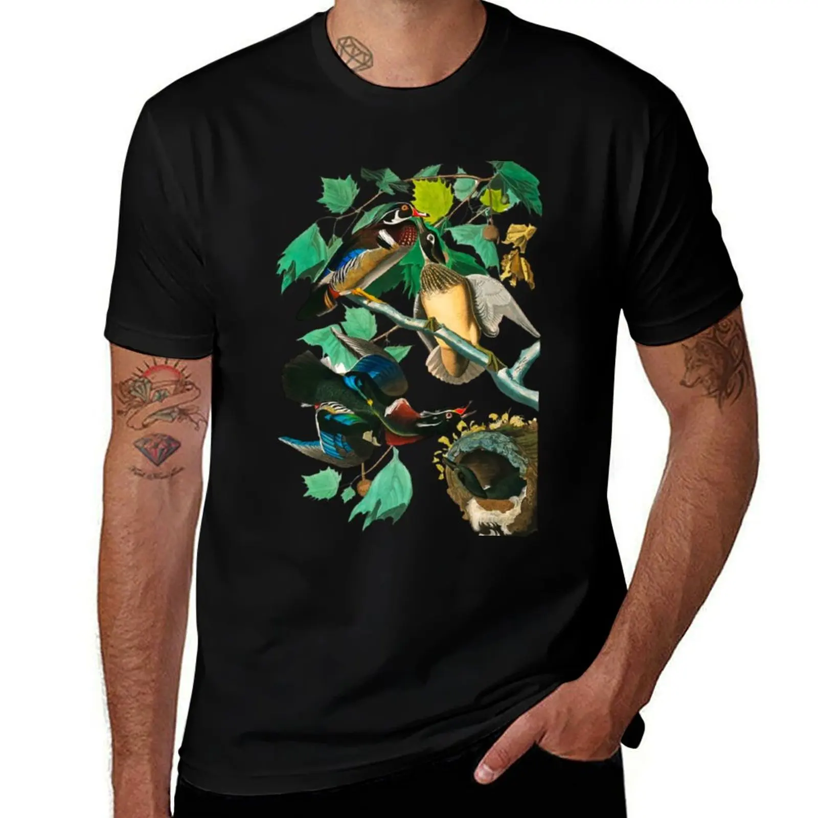 Wood Duck by John James Audubon T-Shirt funny shirt cotton plain t shirts for men
Wood Duck by John James Audubon T-Shirt funny shirt cotton plain t shirts for men
