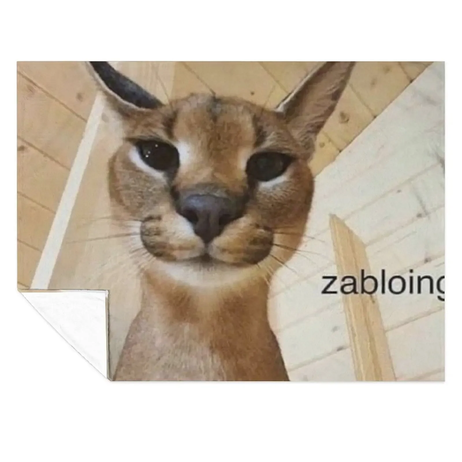 Одеяло Zabloing Floppa, декоративное одеяло для кемпинга, декоративные одеяла для сна на диване
Одеяло Zabloing Floppa, декоративное одеяло для кемпинга, декоративные одеяла для сна на диване