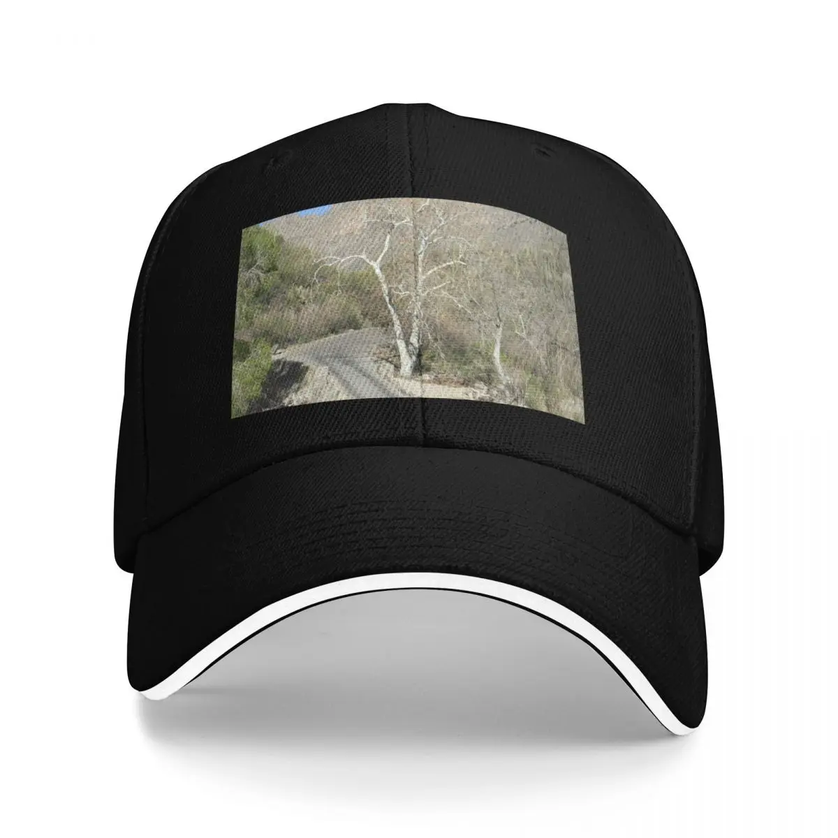 Sabino Canyon Road Baseball Cap Beach funny hat Luxury man cap Snap Back Hat Boy Child Women's
Sabino Canyon Road Baseball Cap Beach funny hat Luxury man cap Snap Back Hat Boy Child Women's