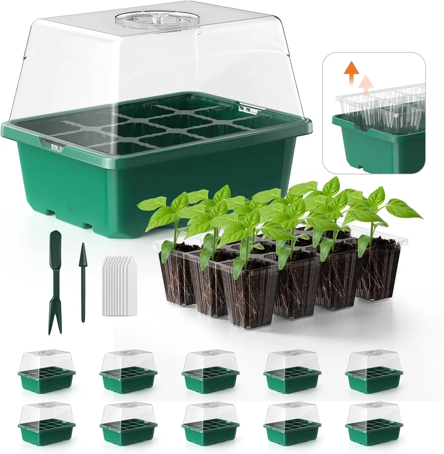 Seed Starter Tray, 10-Pack with Humidity Domes, 12 Cells Each, for Indoor Seed Starting & Germination
Seed Starter Tray, 10-Pack with Humidity Domes, 12 Cells Each, for Indoor Seed Starting & Germination
