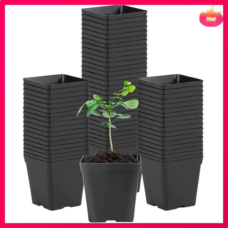 ABYP Square Seedling Pots Flexible Plastic Seedling Pots Are For Plants And Succulents In Square Pots Black (100PCS)
ABYP Square Seedling Pots Flexible Plastic Seedling Pots Are For Plants And Succulents In Square Pots Black (100PCS)