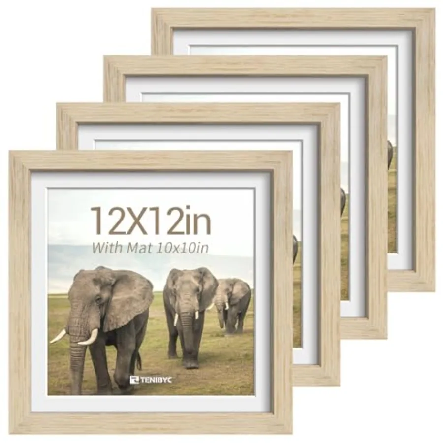 Picture Frame Set - Solid Wood Photo Frames - Tempered Glass - Displays Photos with Mat or x without - Room Office Gallery Stud
Picture Frame Set - Solid Wood Photo Frames - Tempered Glass - Displays Photos with Mat or x without - Room Office Gallery Stud