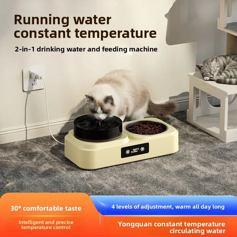 All-in-One Non-Slip Pet Cat Double Bowl Stainless Steel Puppy Feeding Cat Bowl Water Bowl For Cats Dog Feeder Pet Supplies
All-in-One Non-Slip Pet Cat Double Bowl Stainless Steel Puppy Feeding Cat Bowl Water Bowl For Cats Dog Feeder Pet Supplies