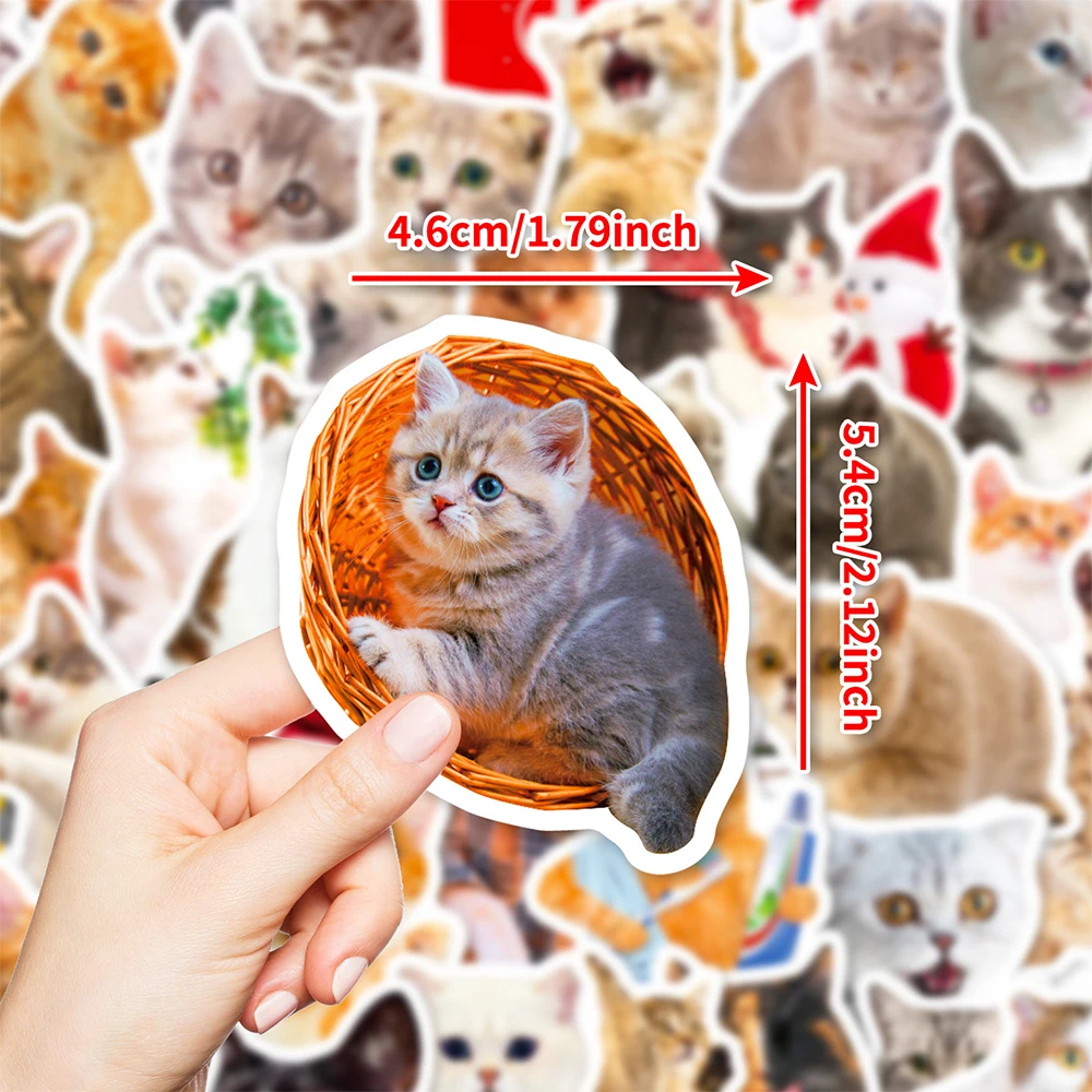 10/30/50pcs Cute Funny Animal Cat Meme Stickers Waterproof DIY Phone Luggage Laptop Car Kawaii Kitten Decals Decoration Toy Gift
10/30/50pcs Cute Funny Animal Cat Meme Stickers Waterproof DIY Phone Luggage Laptop Car Kawaii Kitten Decals Decoration Toy Gift